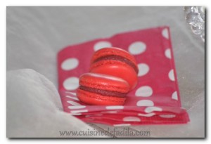 macaron à la framboise