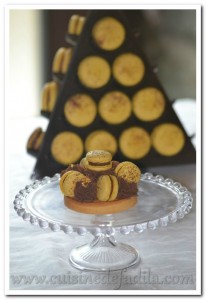 Tartelettes fruits de la Passion chocolat au lait et macarons Mogador